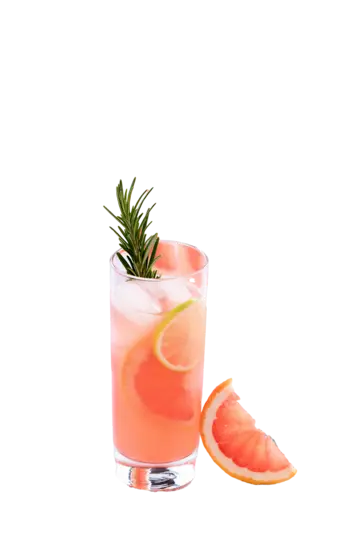  Paloma
