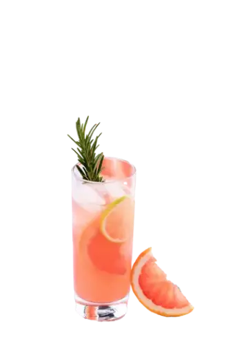  Paloma